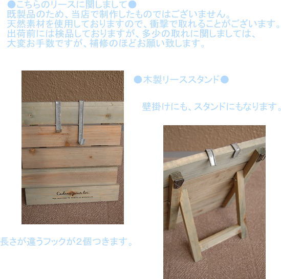 �A�����W���e�̐����ʐ^