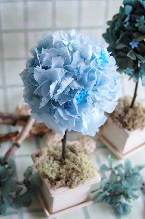 プリザーブドフラワー