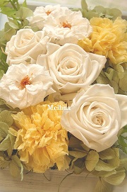 プリザーブドフラワー