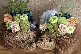 ハリネズミアレンジ