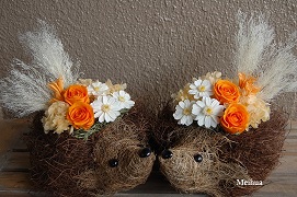 ハリネズミアレンジ