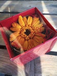 誕生日プレゼント壁掛けアレンジ