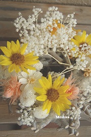 誕生日お祝い・シャクヤク