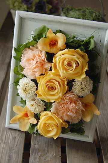 �v���U�[�u�h�t�����[�Ǌ|���A�����W