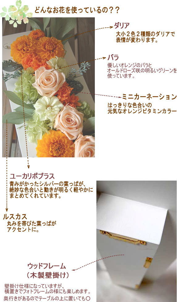 �A�����W���e�̐����ʐ^