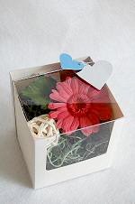 プリザーブドフラワー