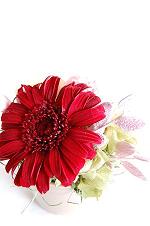 プリザーブドフラワー