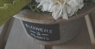 プリザーブドフラワー花材：ダリア、ピンポンマム