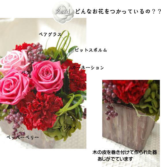 �v���U�[�u�h�t�����[