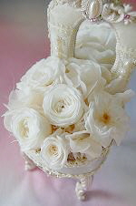 スノーホワイトミラー