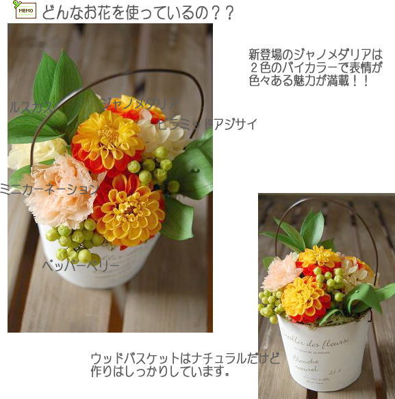 �v���U�[�u�h�t�����[�F�_���A