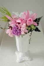 エレナ・カトレア