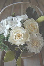 フレンチバニラ