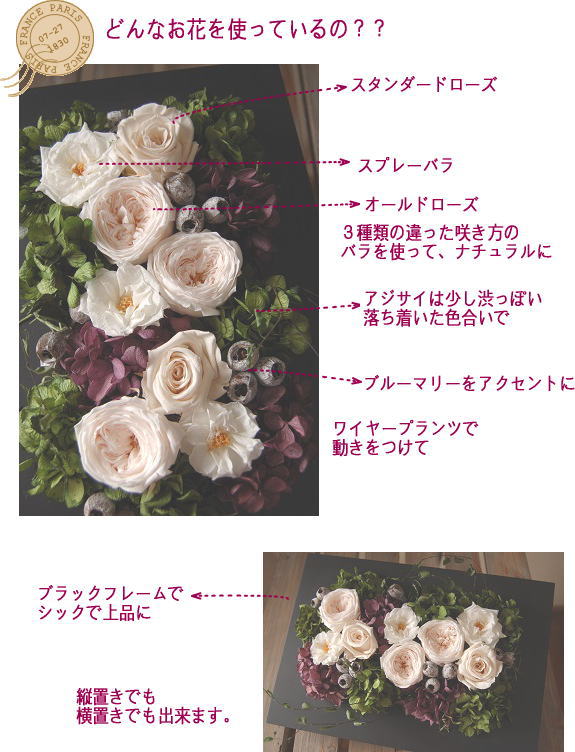 �v���U�[�u�h�t�����[����