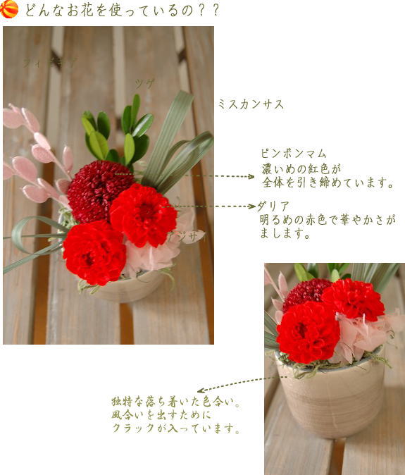 �A�����W���e�̐����ʐ^