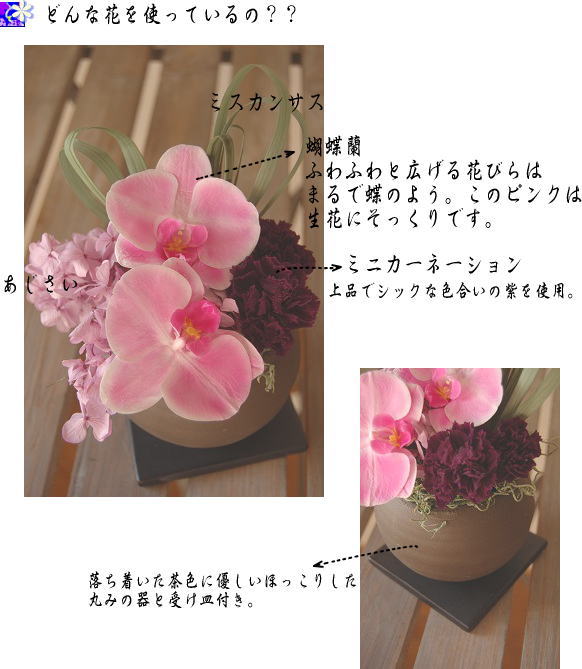 �A�����W���e�̐����ʐ^