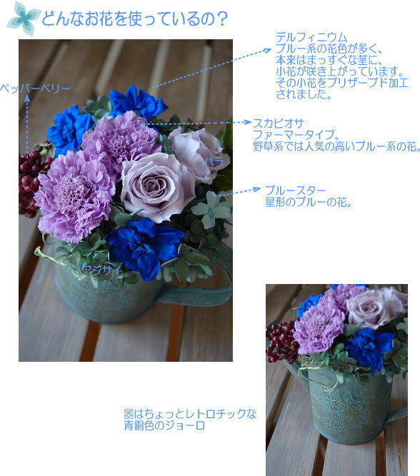 �A�����W���e�̐����ʐ^