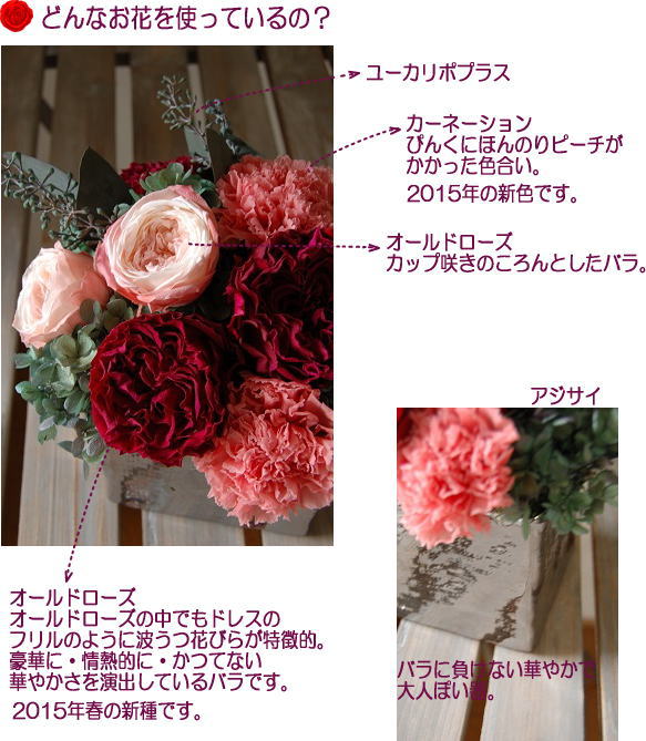 �A�����W���e�̐����ʐ^