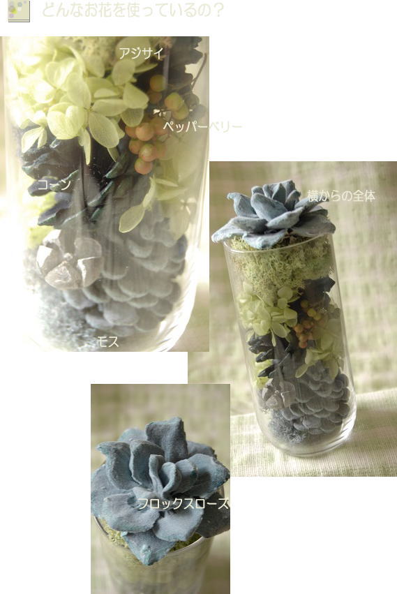 �A�����W���e�̐����ʐ^