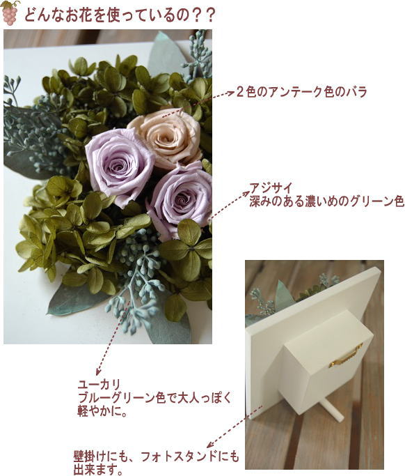 �A�����W���e�̐����ʐ^