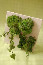 アイビーグリーン・Ｌ