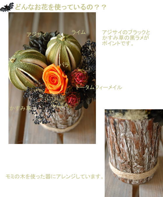 �v���U�[�u�h�t�����[�F�o���E���C��