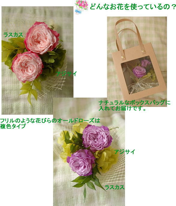 �v���U�[�u�h�t�����[�F�o��