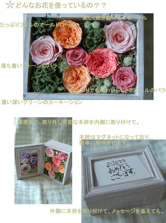 �v���U�[�u�h�t�����[�F�o��