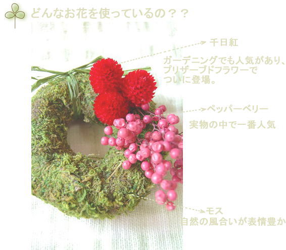 �v���U�[�u�h�t�����[�F�o��