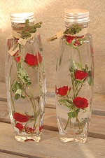 リトルマーベル・バラ