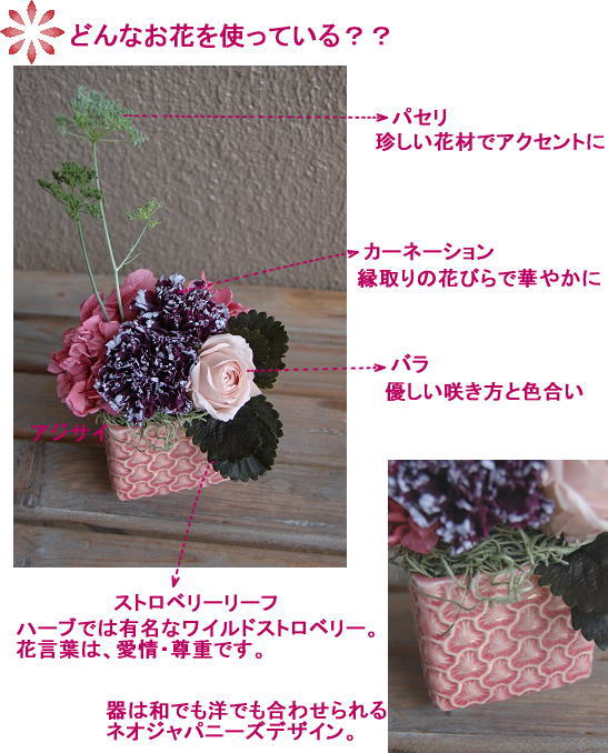 �ԍށF�J�[�l�[�V�����A�o��