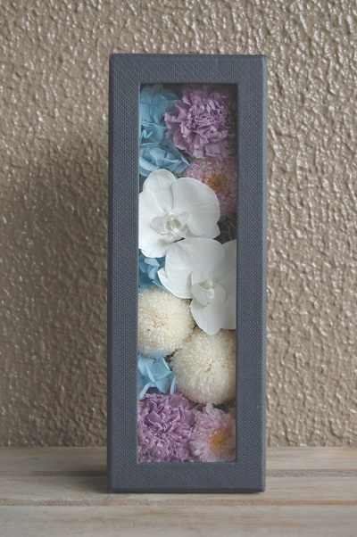 蝴蝶蘭のボックスアレンジ