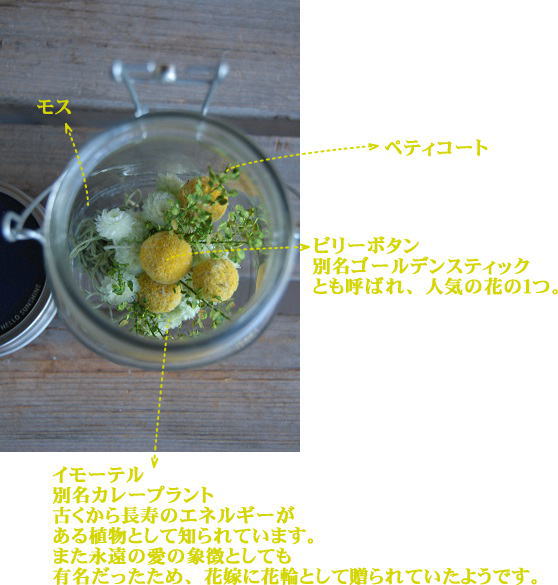 ゴールデンスティック