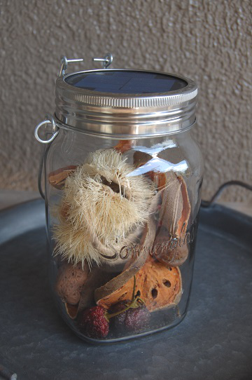 ソネングラスアレンジ