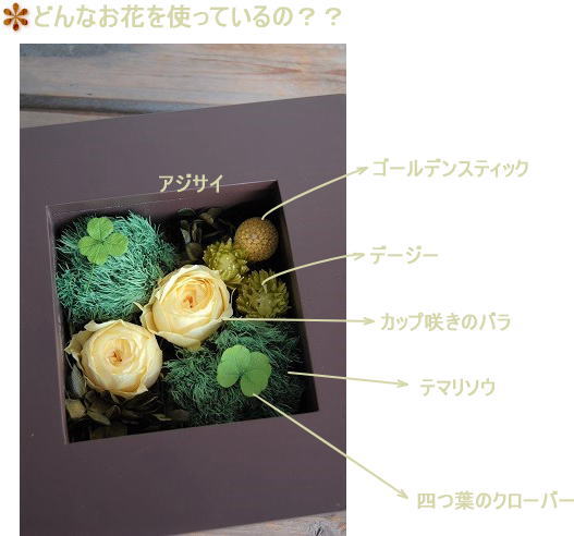 四つ葉のクローバーフレームアレンジ