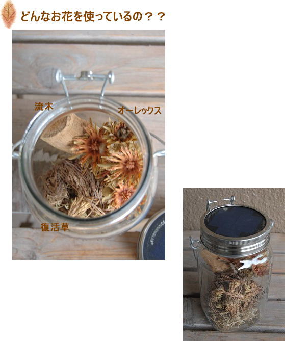 ソネングラスアレンジ