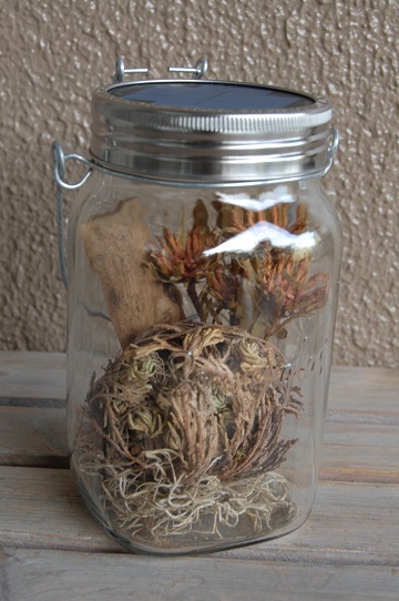 ソネングラスアレンジ