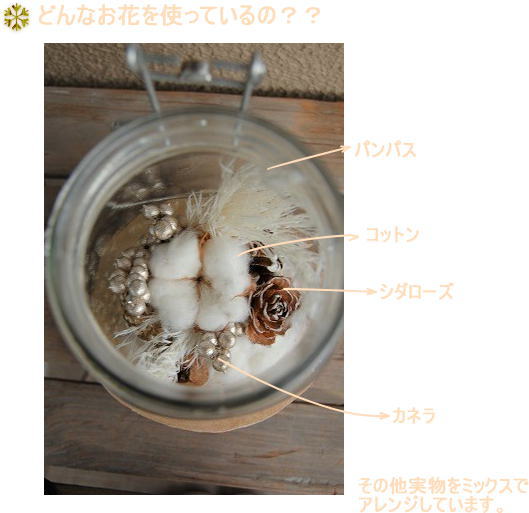 ソネングラスアレンジ