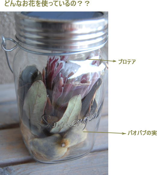 ソネングラスアレンジ