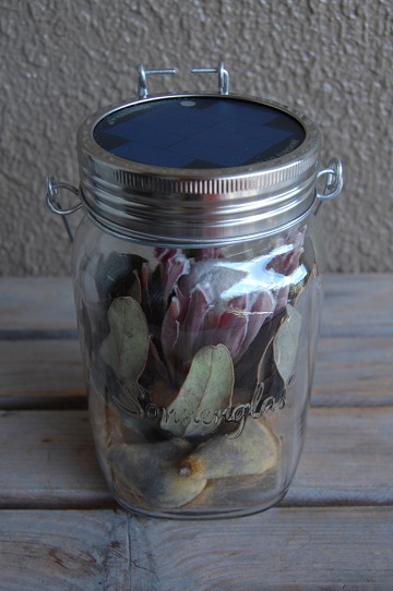 ソネングラスアレンジ