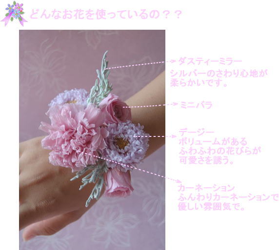 ���X�g���b�g�u�[�P