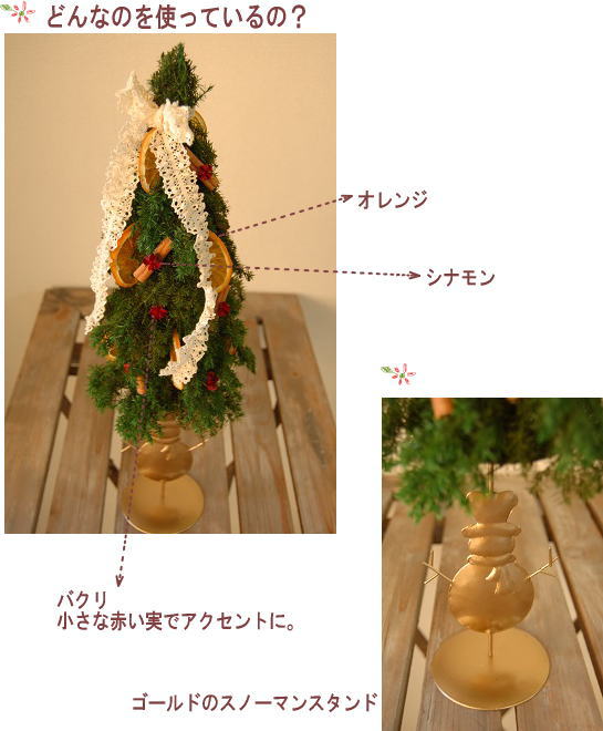 �A�����W���e�̐����ʐ^